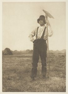 Heinämäinen harava (Norfolk) tekijältä Peter Henry Emerson