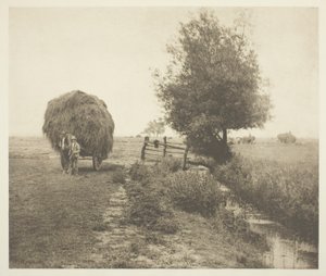 Hayselissa (Norfolk) tekijältä Peter Henry Emerson