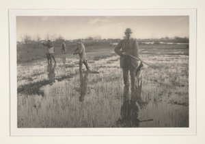 Miehet metsästämässä suolla tekijältä Peter Henry Emerson