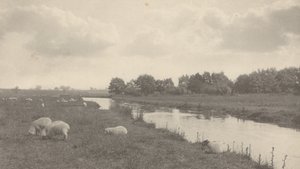 Bure-joella,1886 (kuva) tekijältä Peter Henry Emerson