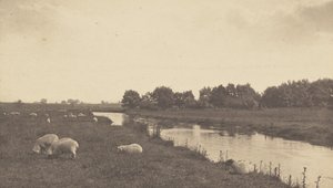 Bure-joella tekijältä Peter Henry Emerson