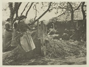 Osier-Peling (Norfolk) tekijältä Peter Henry Emerson