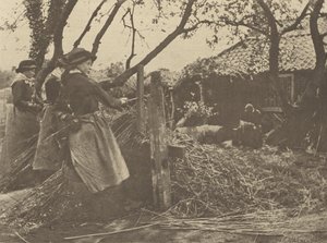 OsierPeeling. [Norfolk]]. tekijältä Peter Henry Emerson