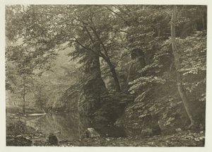 "Pike Pool" (alhaalta) tekijältä Peter Henry Emerson