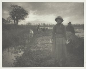 Suoheinää tekijältä Peter Henry Emerson