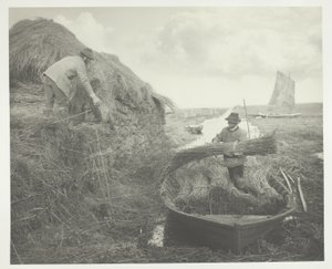 Ricking the Reed tekijältä Peter Henry Emerson