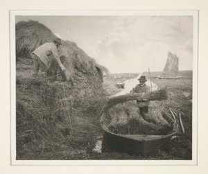 Ricking the Reed tekijältä Peter Henry Emerson