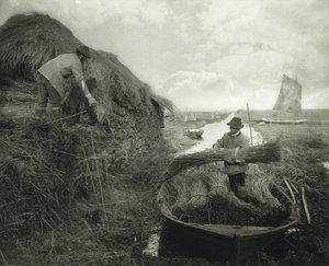 Ricking the Reed, n. 1885 (platinaprintti)