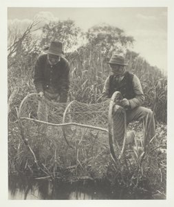 Keulaverkon asentaminen tekijältä Peter Henry Emerson