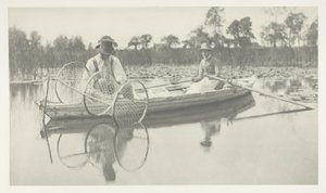 Keulaverkon asettaminen tekijältä Peter Henry Emerson