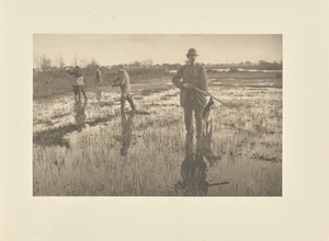  tekijältä Peter Henry Emerson