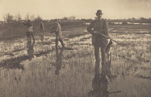  tekijältä Peter Henry Emerson