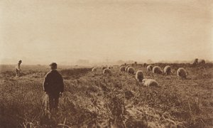 Suot kesäkuussa tekijältä Peter Henry Emerson