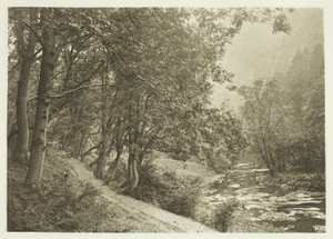 Polku First Braen yli, Dove Dale (Dove Dale) tekijältä Peter Henry Emerson
