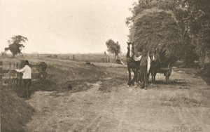 Marshlandin rikkaus tekijältä Peter Henry Emerson