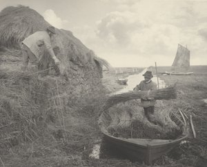 Ricking the Reed tekijältä Peter Henry Emerson and T.F. Goodall