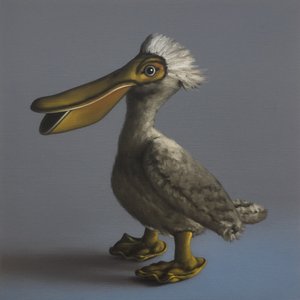 Pelikaani, 2017 tekijältä Peter Jones