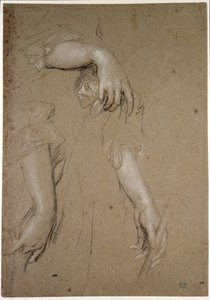Studies of Hands, 17th century (liitu paperille) tekijältä Peter Lely