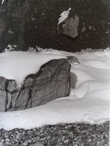 VINTAGE B&W PHOTO No.3, 1985, (VALOKUVA) tekijältä Peter McClure