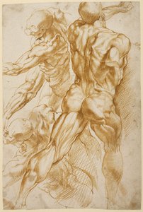 Anatomiset tutkimukset tekijältä Peter Paul Rubens