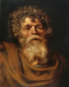 Bildnis eines bärtigen alten Mannes tekijältä Peter Paul Rubens