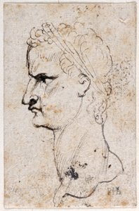 Gaius Caligula, kymmenestä piirroksesta kahdeksasta ensimmäisestä kahdestatoista keisarista, Giovanni da Cavinon mitalien jälkeen (kynä ja muste paperille) tekijältä Peter Paul Rubens