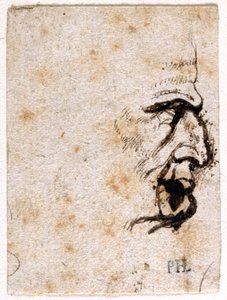 Galba, kymmenestä piirroksesta kahdeksasta ensimmäisestä kahdestatoista keisarista, Giovanni da Cavinon mitalien jälkeen (kynä ja muste paperille) tekijältä Peter Paul Rubens