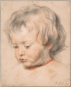 Nicolaas Rubens korallikaulakorussa, noin 1619 tekijältä Peter Paul Rubens