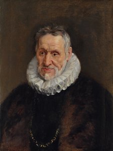 Muotokuva parrakkaasta miehestä tekijältä Peter Paul Rubens