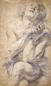 Istuva miesnuoriso (tutkimus Danielille) tekijältä Peter Paul Rubens