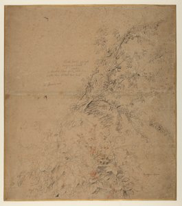 Tutkimus torven ja muiden kasvien kanssa, n. 1620 tekijältä Peter Paul Rubens