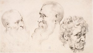  tekijältä Peter Paul Rubens
