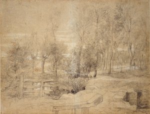 Woodland Scene, 1600-luvun alku tekijältä Peter Paul Rubens