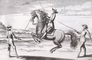 Kuva hevosesta en Croupade Wintersin, Stutereyn ja Reit-Schulin pubin kirjoittamasta uudesta traktaatista jalostushevosista. 1672 tekijältä Peter Paul Troschel