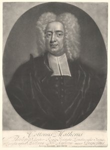 Puuvilla Mather