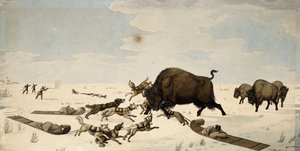 Buffalo Hunt, n. 1822-1824 tekijältä Peter Rindisbacher