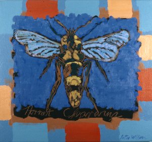 Hornet kirkassiipi