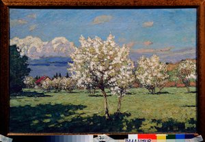 Kirsikan kukat. Pjotr ​​Ivanovitš Petrovitševin (Pjotr ​​Petrovitšev) maalaus (1874-1947), öljy kankaalle