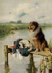 Päivystys (chromolitho)