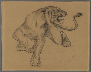 Tiger (kynä paperilla tarina)