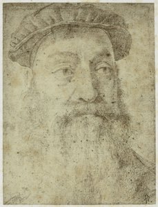 Kuva Bronzinon teoksesta "Study for the Portrait of Stefano Colonna"