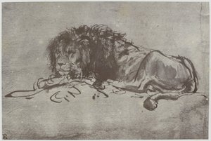 Rembrandt, leijona