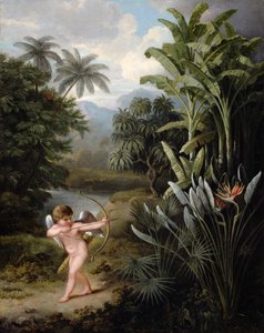 Amor inspiroi kasveja rakkaudella, maalattu Robert Thorntonin kirjaan `New Illustration of the Sexual System of Linnaeus