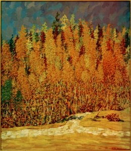 Syksyinen metsä tekijältä Philipp Bauknecht