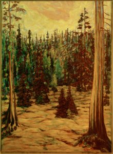 Sommerwald tekijältä Philipp Bauknecht