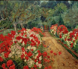 Gartenweg mit Phloxbeet