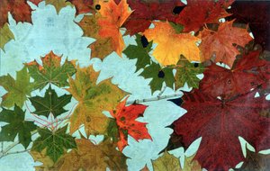 Autumn Leaves, kirjoittanut Philippe Robert, Robert Ried -painokset