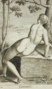 Camerina