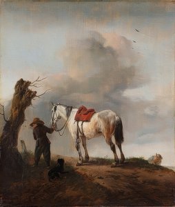 Valkoinen hevonen; hometta. Noin 1646 tekijältä Philips Wouwerman