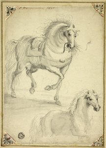 Kaksi luonnosta ravihevosesta tekijältä Philips Wouwerman